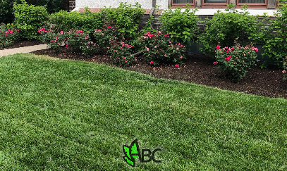 ABC Co. Landscaping LLC in Grosse Pointe