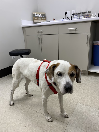 Platz Animal Hospital in Grosse Pointe Park